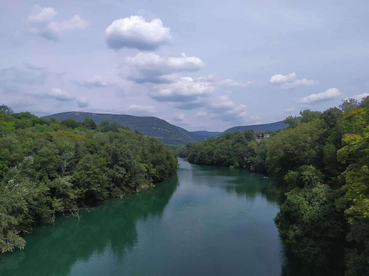 Immagine per L'Isonzo e la moria di pesci, i nodi sul futuro del fiume di smeraldo 